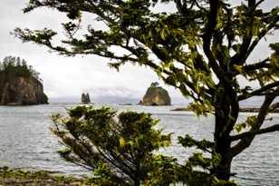 La Push harbor-7214